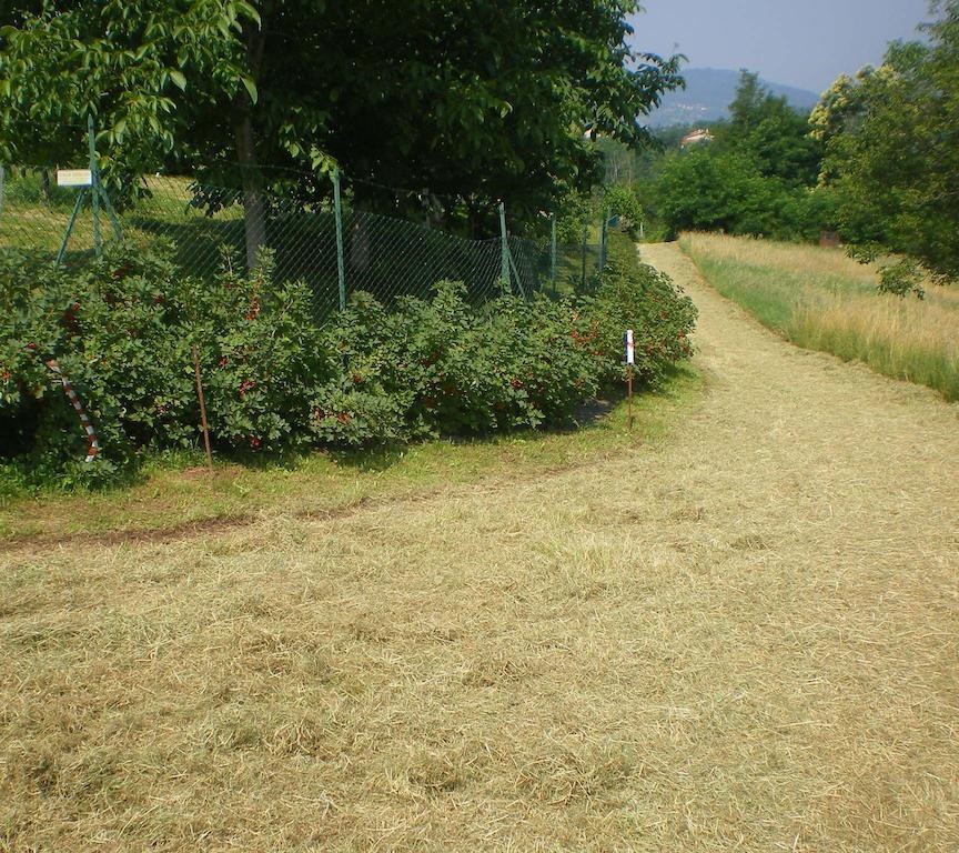 Tenuta Fortelongo Fara Vicentino Zewnętrze zdjęcie