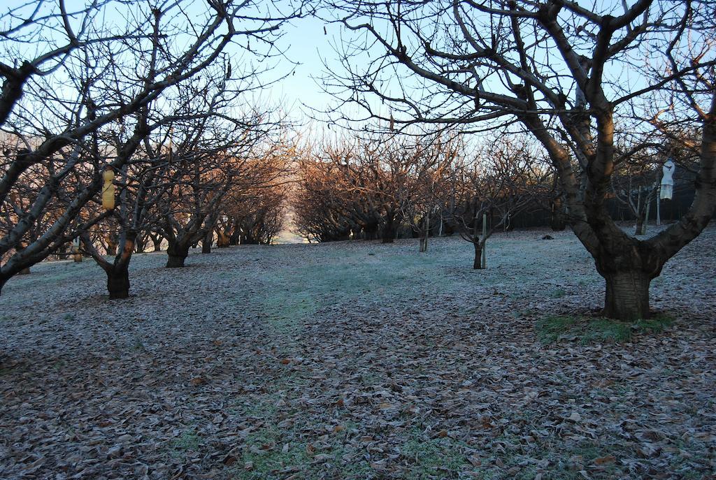 Tenuta Fortelongo Fara Vicentino Zewnętrze zdjęcie